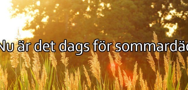 Bra att veta inför sommardäck 2019