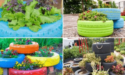 Odla dina växter i däck